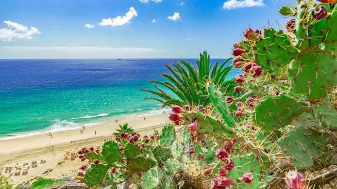 Caleta Relax - Apartamento Fuerteventura Apartment La Oliva Luaran gambar